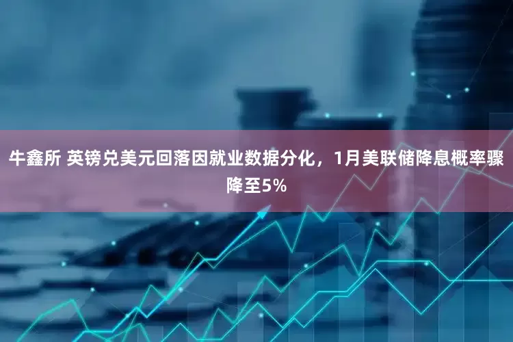 牛鑫所 英镑兑美元回落因就业数据分化，1月美联储降息概率骤降至5%